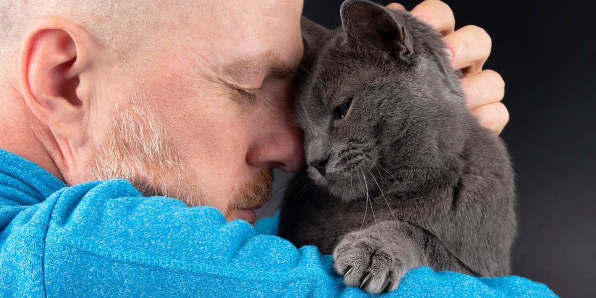 Comment les chats boostent votre bonheur et votre santé !