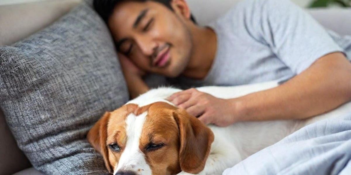 Dormir avec son chat ou son chien, est-ce vraiment une bonne idée ?