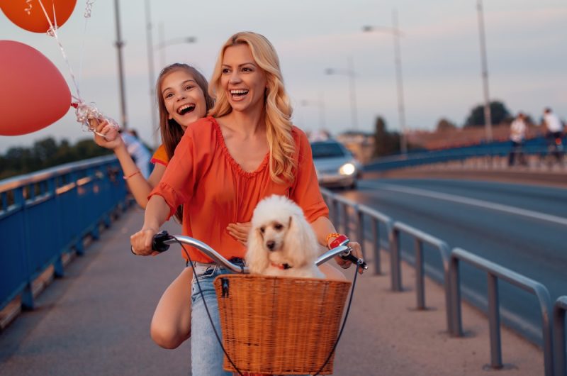 Voici les meilleures destinations européennes pour partir en vacances avec votre chien